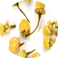 Chamomile