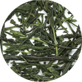 Sencha